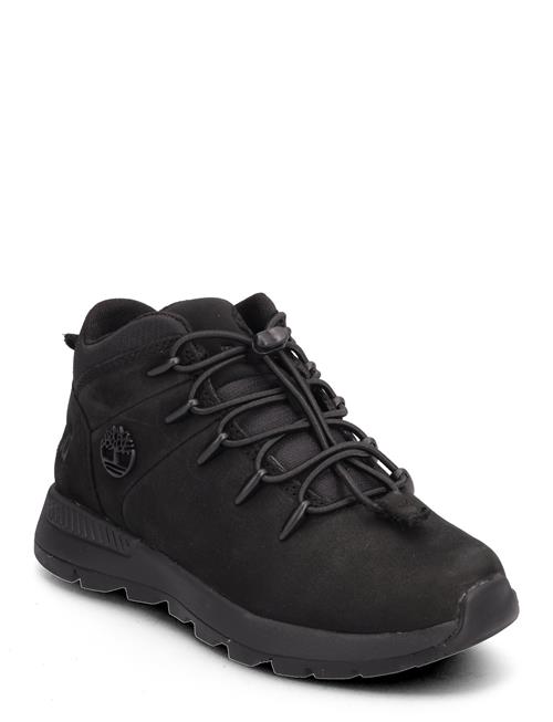 Mid Lace Up Sneaker Timberland Black