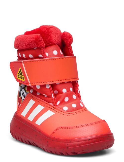 Se adidas Sportswear Winterplay Minnie I Adidas Sportswear Red ved Booztlet