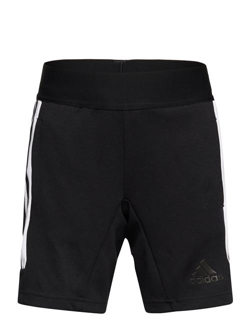 adidas Sportswear J Hot Short Adidas Sportswear Black