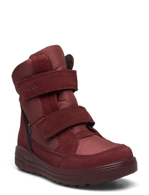 ECCO Urban Snowboarder ECCO Burgundy