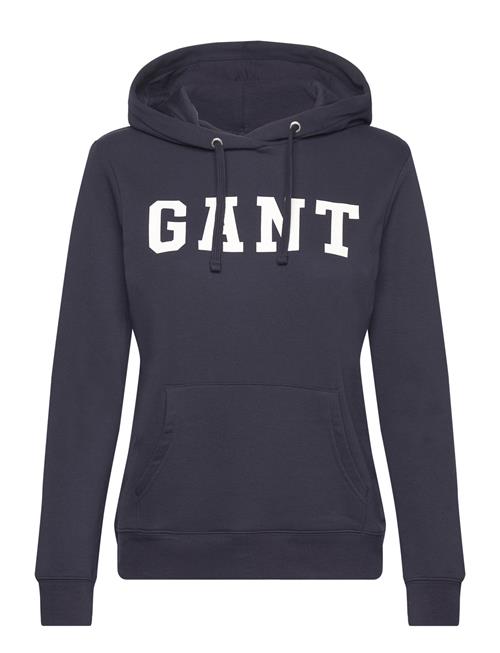 GANT Reg Graphic Hoodie GANT Blue