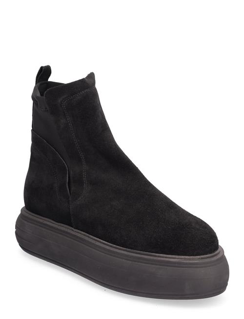 Se Steve Madden Hagar Bootie Steve Madden Black ved Booztlet