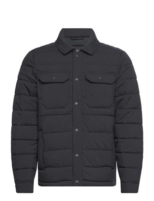 Hollister Hco. Guys Outerwear Hollister Black