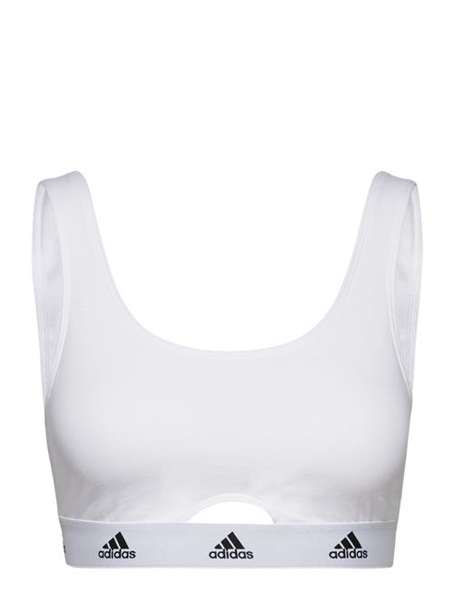 adidas Underwear Bustier Adidas Underwear White