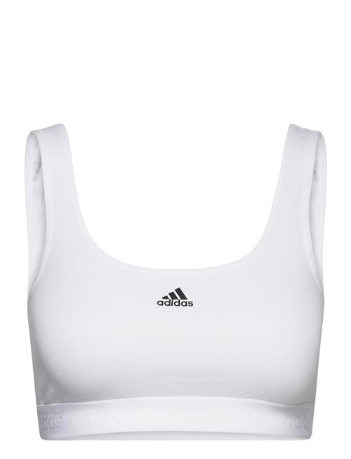 Se adidas Underwear Bustier Adidas Underwear White ved Booztlet