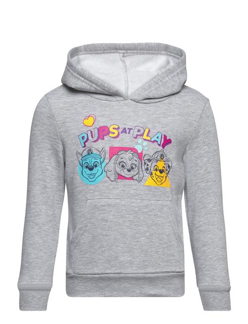 Se Paw Patrol Sweat Kangourou Paw Patrol Grey ved Booztlet