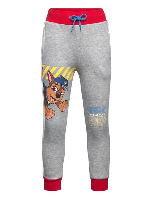 Se Paw Patrol Jogging Pant Paw Patrol Grey ved Booztlet