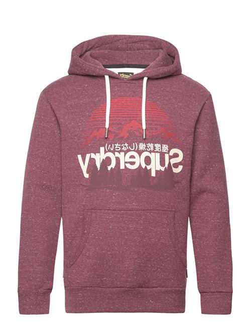 Se Superdry Cl Great Outdoors Graphic Hood Superdry Burgundy ved Booztlet