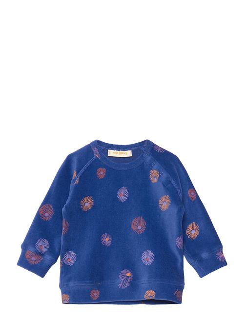 Sgbalexi Velvet Flower Sweat Soft Gallery Blue