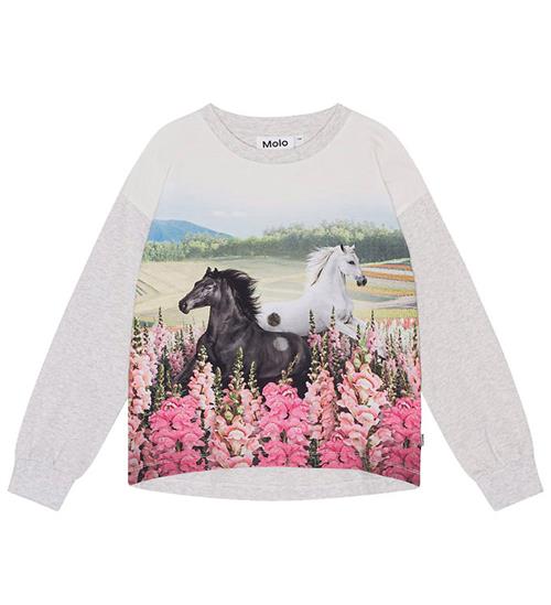 Molo Bluse - Reniza - Meadow Horses