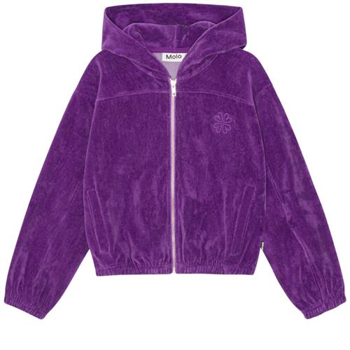 Molo Madeleine Hættetrøje Purple Dusk | Lilla | 98 cm