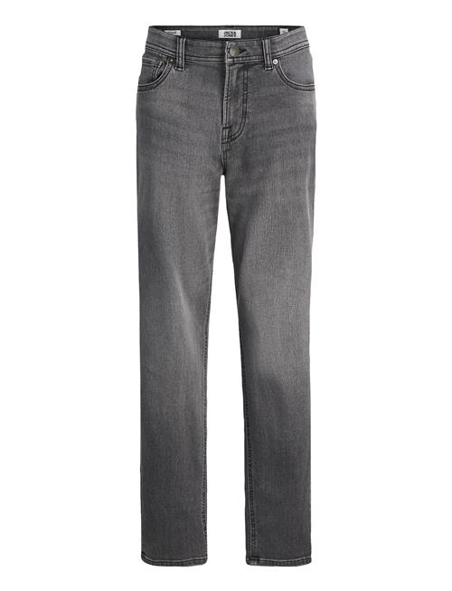 Jack & Jones Jjiclark Jjoriginal Sq 349 Noos Jnr Jack & J S Grey