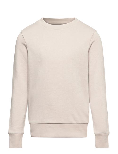 Se Jack & Jones Jjebradley Sweat Crew Noos Jnr Jack & J S Cream ved Booztlet