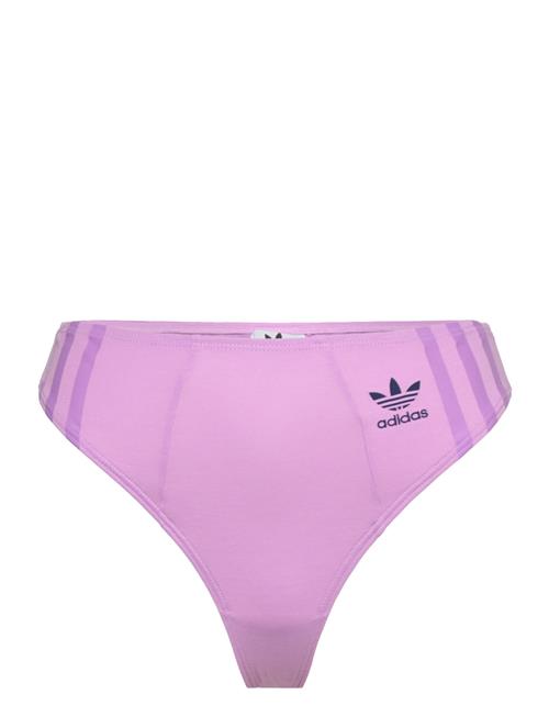 adidas Originals Underwear Highwaist-String Adidas Originals Underwear Purple