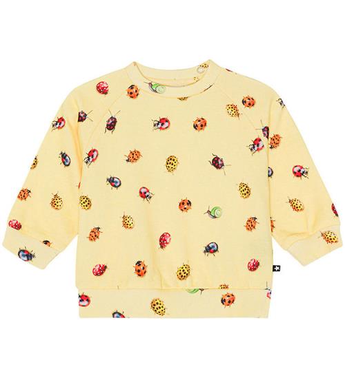 Molo Molo Sweatshirt - Disc - Coccinella