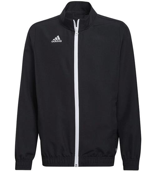 adidas Performance adidas Performance Cardigan - Entrada 22 - Sort