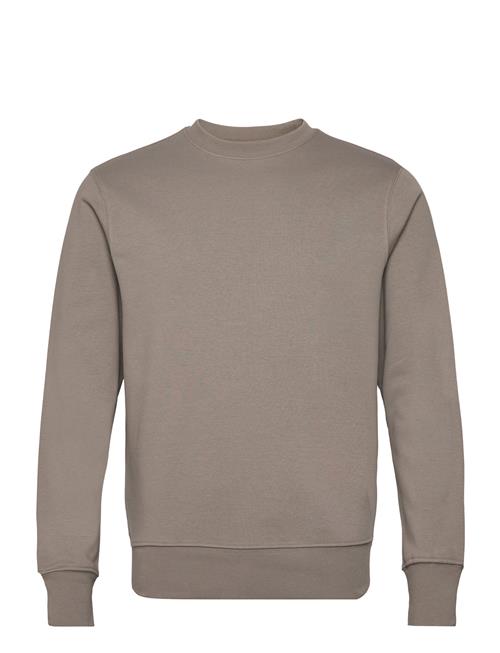 Mango Lightweight Cotton Sweatshirt Mango Brown