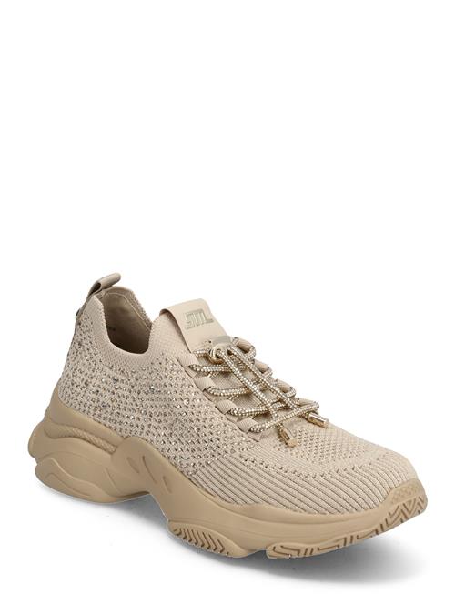 Steve Madden Meter Sneaker Steve Madden Beige