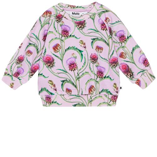 Molo GOTS Disc Sweatshirt Artichoke Mini 62 cm  Lyserød  62 cm  kvinde