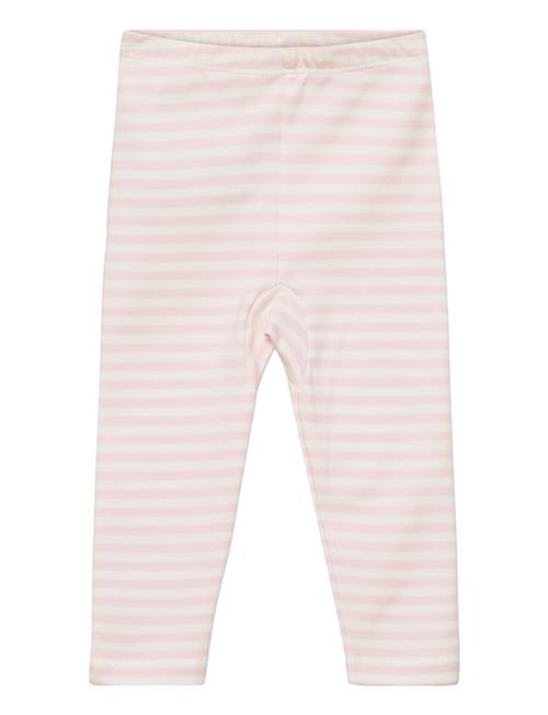 Fixoni Leggings Fixoni Pink