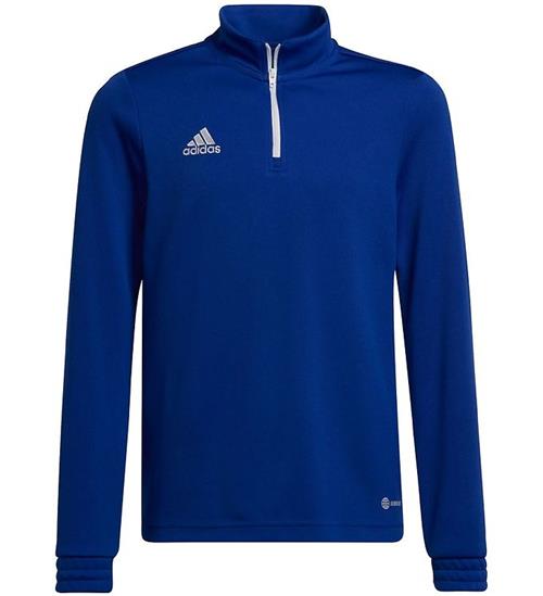 adidas Performance TrÃ¦ningstrÃ¸je - Royal Blue