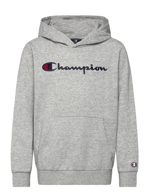 Champion Hooded Sweatshirt Champion Grey