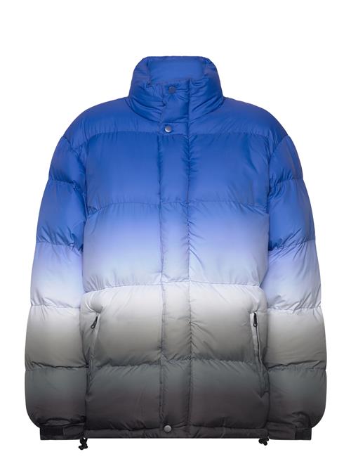 Lockhart Down Jacket Lollys Laundry Blue