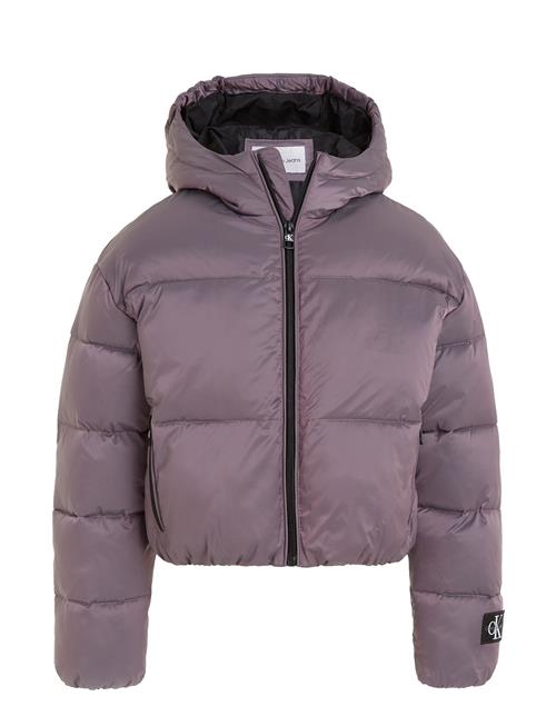 Hyper Two T Padded Bomber Calvin Klein Purple