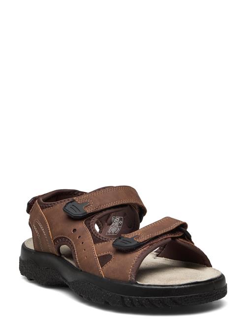 Loop Marstrand Sandal Brun 46 Marstrand Brown