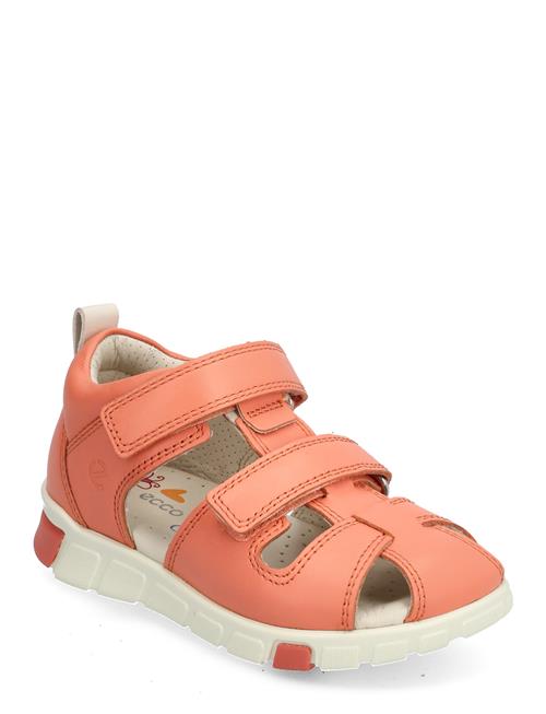 Se ECCO Mini Stride Sandal ECCO Coral ved Booztlet