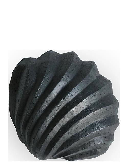 Cooee Design Sculpture The Clam Shell Limest Cooee Design Black