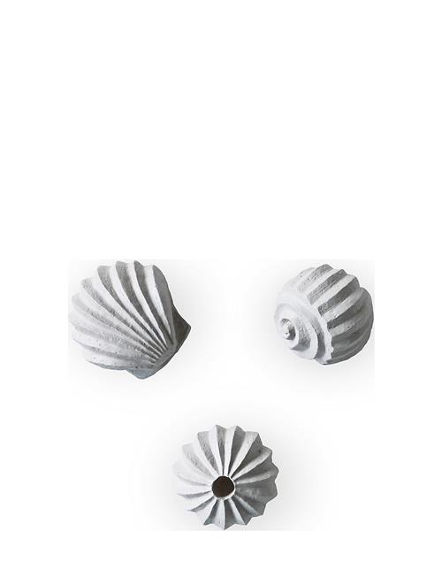 Se Cooee Design Sculpture The Genesis Shells Coal Cooee Design Grey ved Booztlet