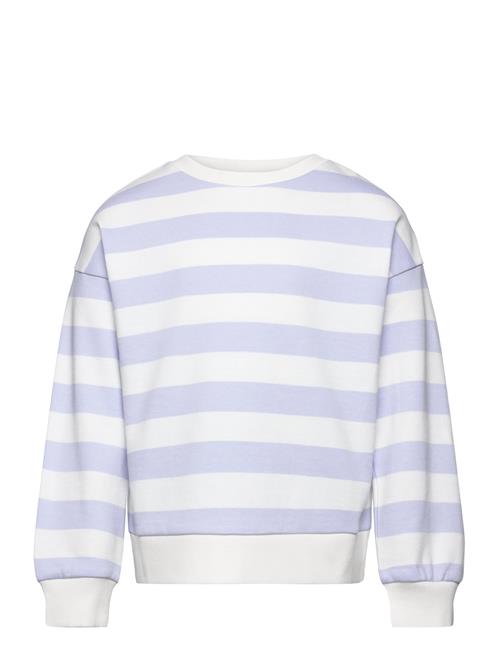 Striped Cotton-Blend Sweatshirt Mango Purple