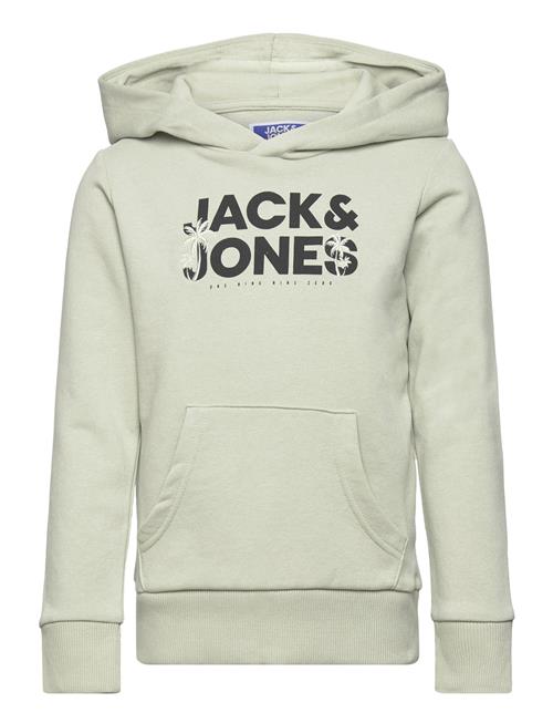 Se Jack & Jones Jjembro Palm Sweat Hood Jnr Jack & J S Green ved Booztlet