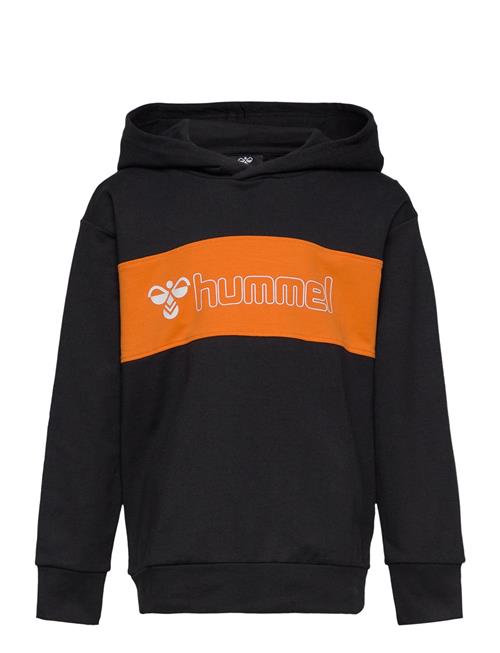 Se Hummel Hmlatlas Hoodie Hummel Black ved Booztlet