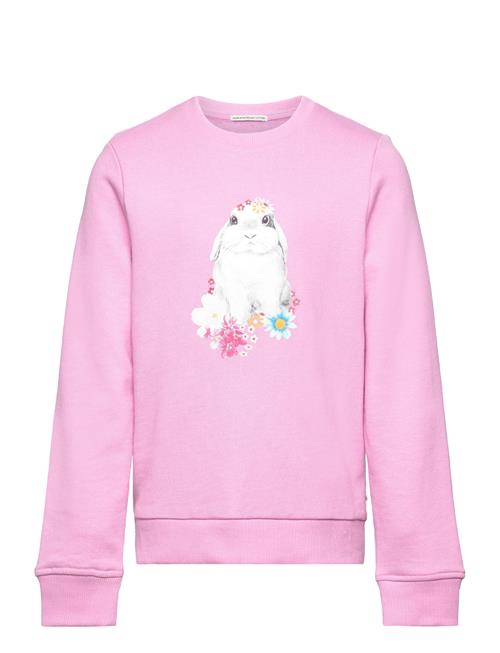 Se Tom Tailor Photoprint Sweatshirt Tom Tailor Pink ved Booztlet