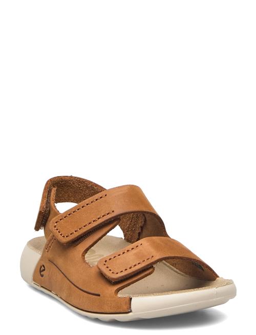 Se ECCO 2Nd Cozmo Infant ECCO Brown ved Booztlet