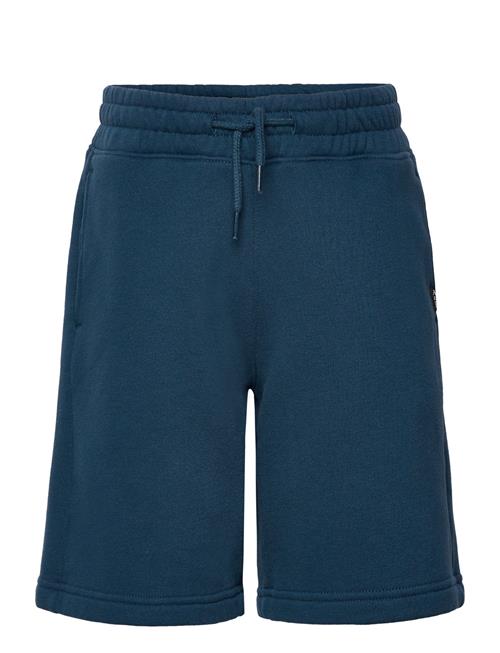 Abercrombie & Fitch Kids Boys Shorts Abercrombie & Fitch Blue