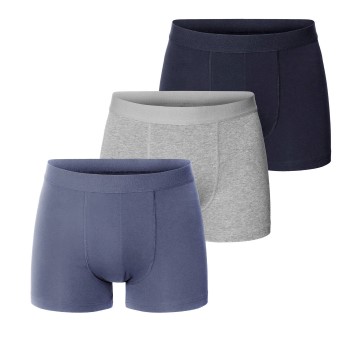 Bread & Boxers Bread and Boxers Boxer Briefs 3P Flerfarvet-2 økologisk bomuld X-Large Herre