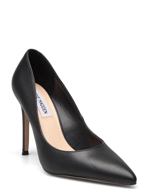 Steve Madden Evelyn-E Pump Steve Madden Black