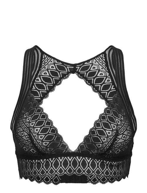 Etam Gravure Wireless Triangle Bra Top Etam Black