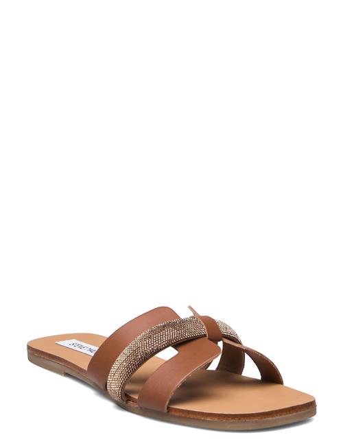 Steve Madden Edriah Sandal Steve Madden Brown