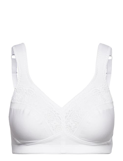 Cotton Star Soft Bra Black Swegmark White