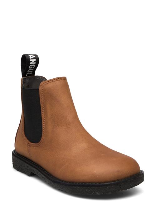 ANGULUS Booties - Flat - With Elastic ANGULUS Brown