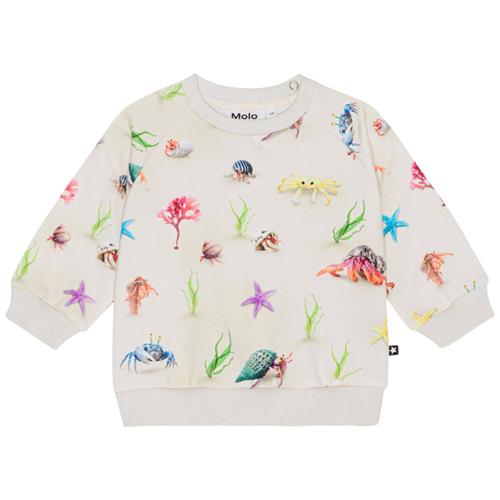 Se Molo GOTS Disc Sweatshirt Hermit Crab |  | 74 cm ved Babyshop