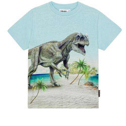 Molo GOTS Roxo T-shirt Beach Dino | Blå | 110 cm