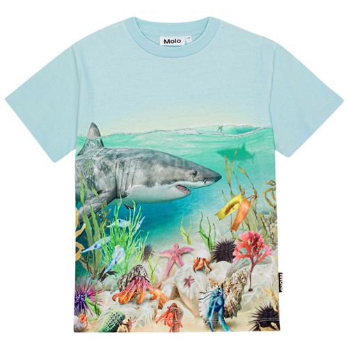 Se Molo GOTS Roxo T-shirt Shore Life | Blå | 98 cm ved Babyshop