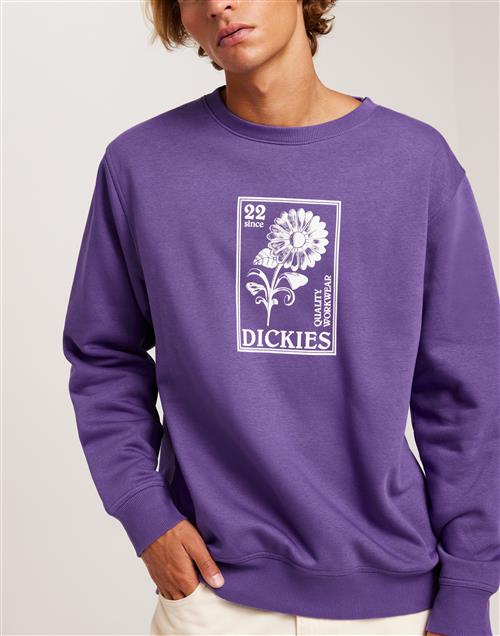 Dickies Garden Plain Sweatshirt Sweatshirts Purple