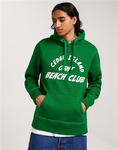 Gant Cedar Graphic Hoodie Hoodies Grøn