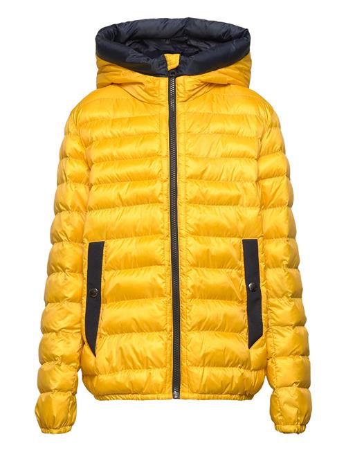 Se WOOLRICH Sundance Hoodie Jacket WOOLRICH Yellow ved Booztlet